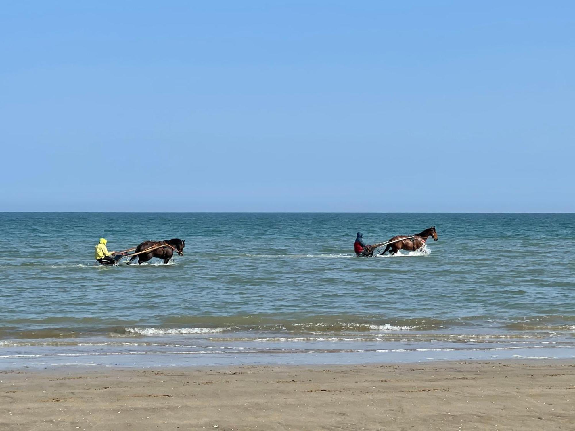 Pressoir De La Mare Superhote 12 Minutes De Cabourg Goustranville Экстерьер фото